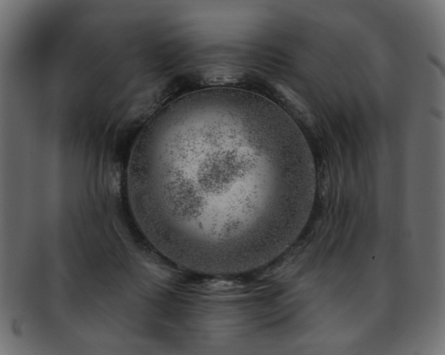 X0000093210315200709261601