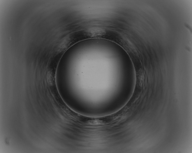 X0000093210316200709261601