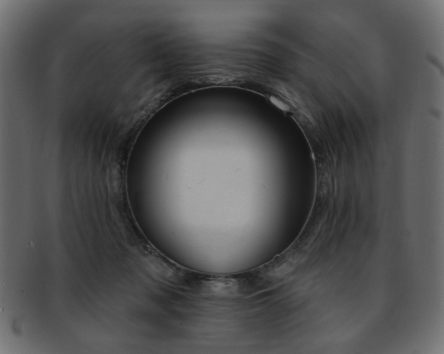 X0000093210317200709261601