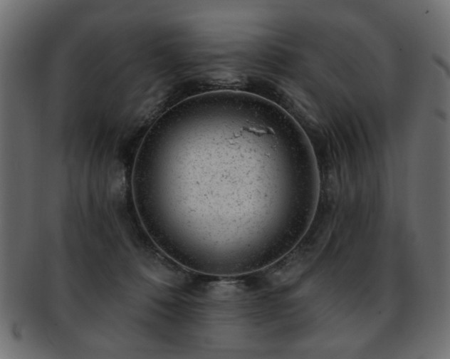 X0000093210320200709261601