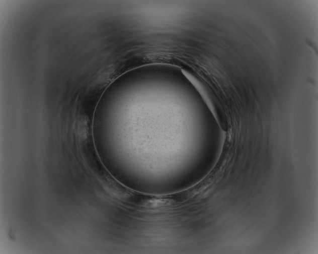 X0000093210323200709261601