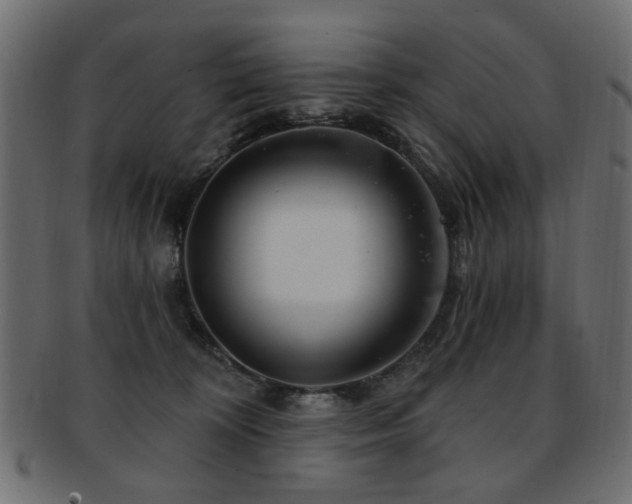 X0000093210324200709261601