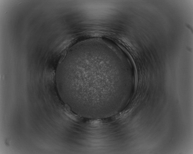 X0000093210325200709261601