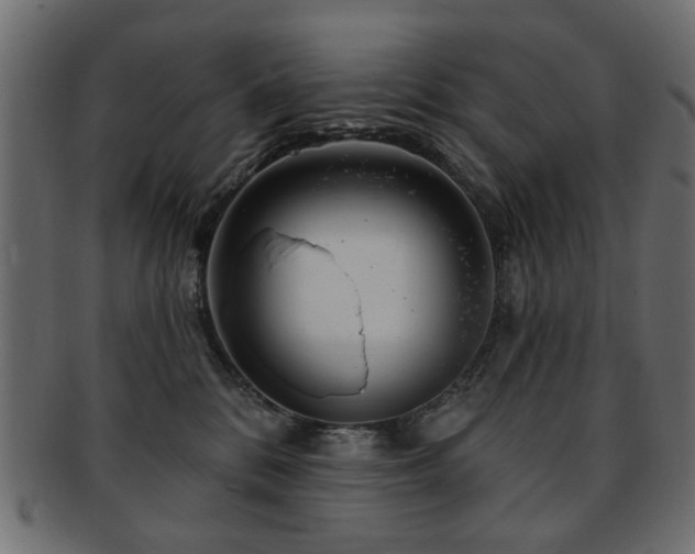 X0000093210328200709261601