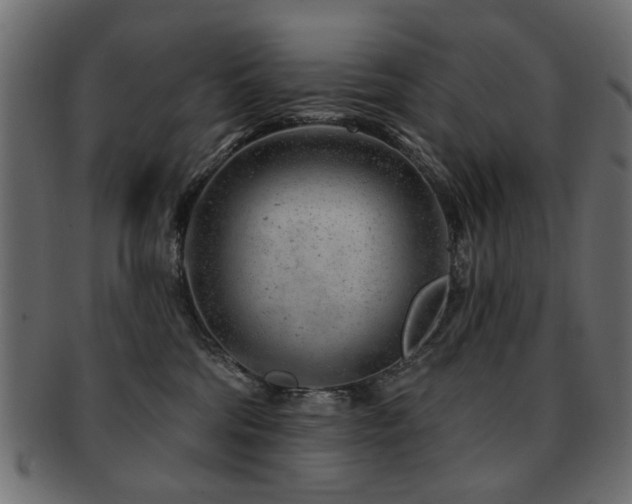 X0000093210330200709261601