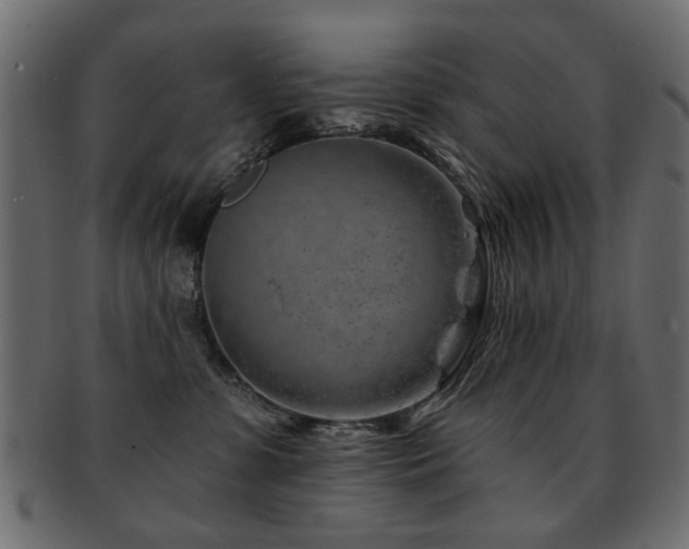 X0000093210331200709261601