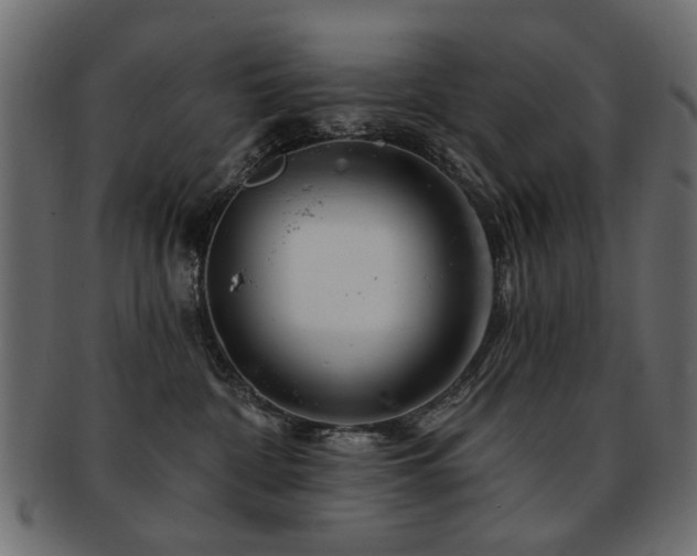 X0000093210332200709261601
