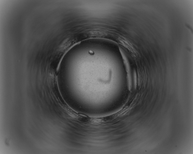 X0000093210333200709261601