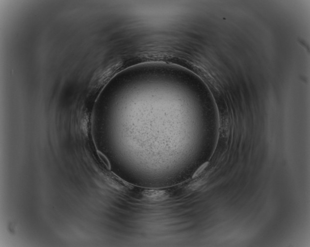 X0000093210334200709261601