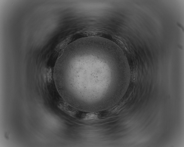 X0000093210335200709261601