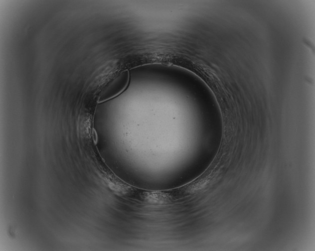 X0000093210336200709261601