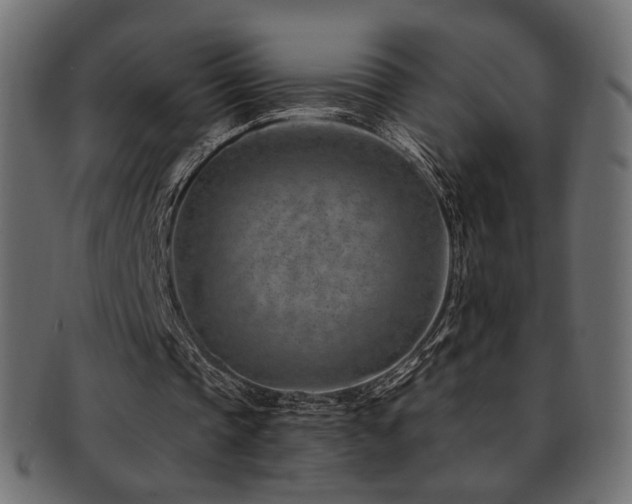 X0000093210337200709261601