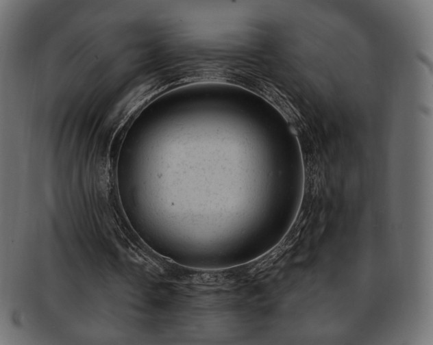 X0000093210338200709261601