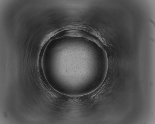X0000093210340200709261601