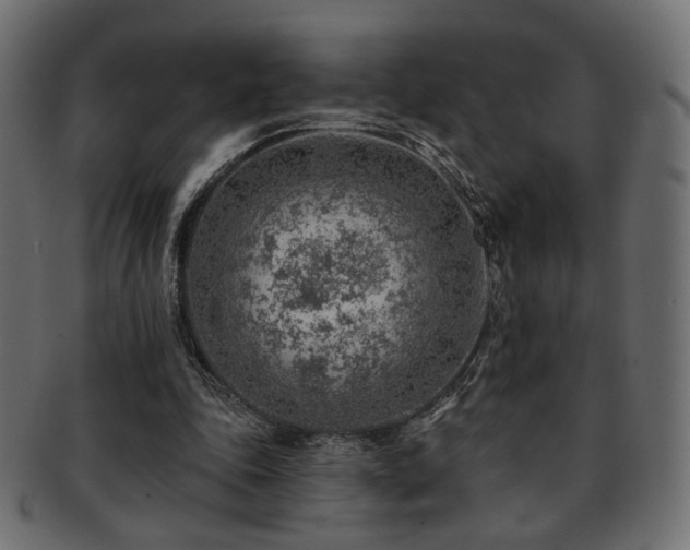 X0000093210343200709261601