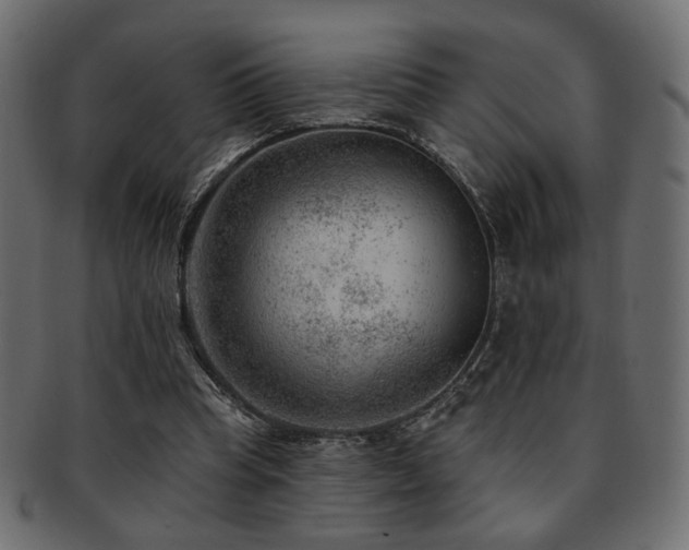 X0000093210345200709261601
