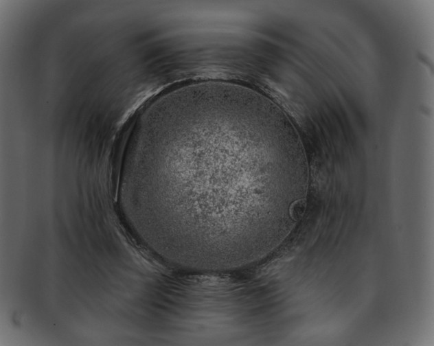 X0000093210347200709261601