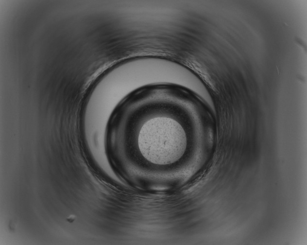 X0000093210348200709261601