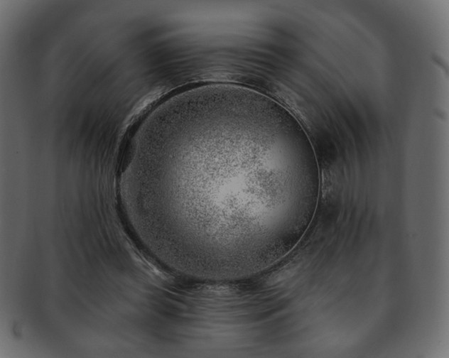X0000093210349200709261601
