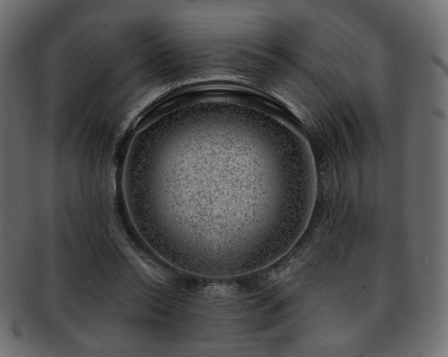 X0000093210350200709261601