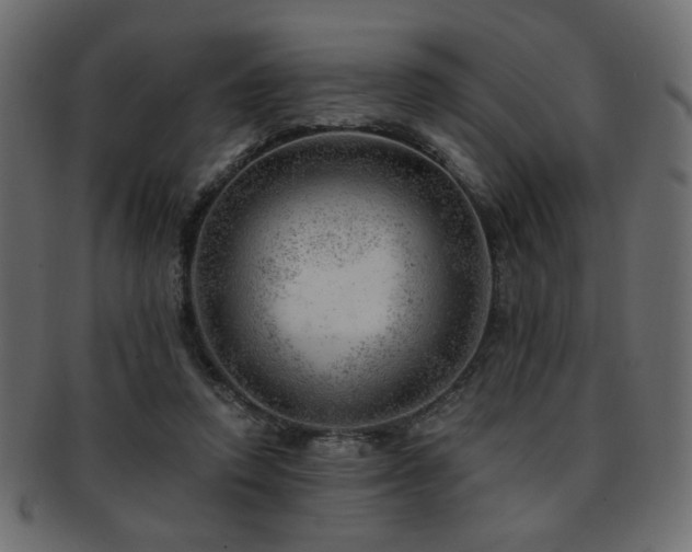 X0000093210354200709261601