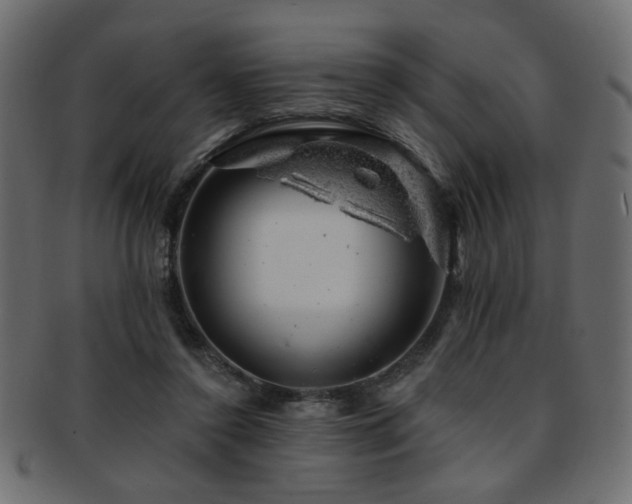 X0000093210356200709261601