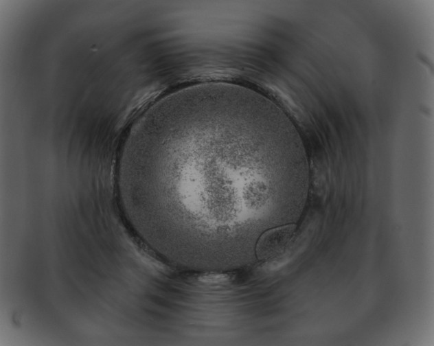 X0000093210357200709261601