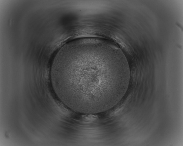 X0000093210359200709261601