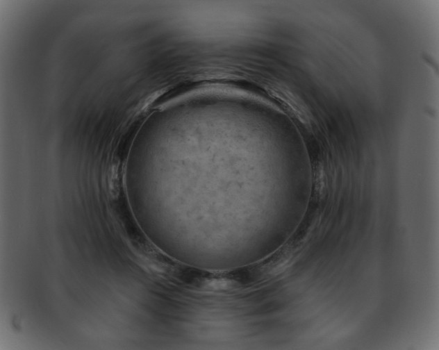 X0000093210360200709261601