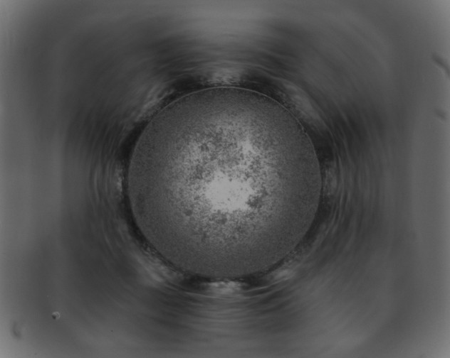 X0000093210363200709261601