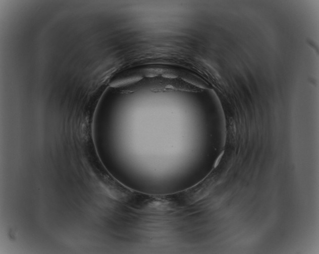X0000093210364200709261601