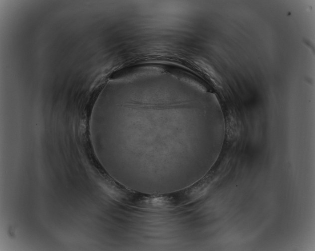 X0000093210365200709261601