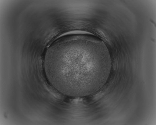 X0000093210366200709261601
