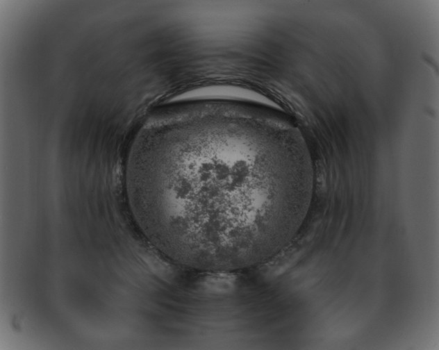 X0000093210369200709261601