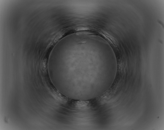 X0000093210373200709261601