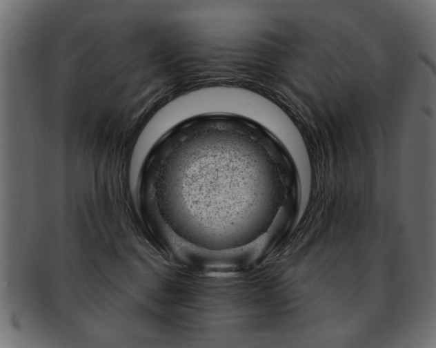 X0000093210376200709261601