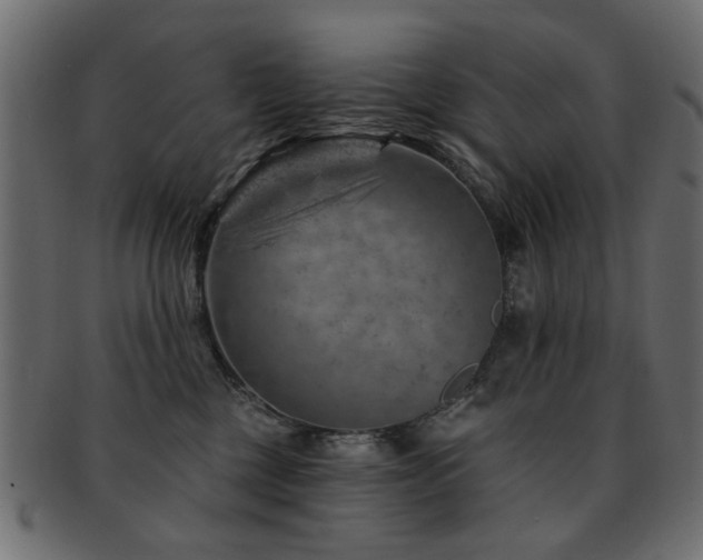 X0000093210377200709261601