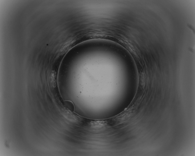 X0000093210378200709261601