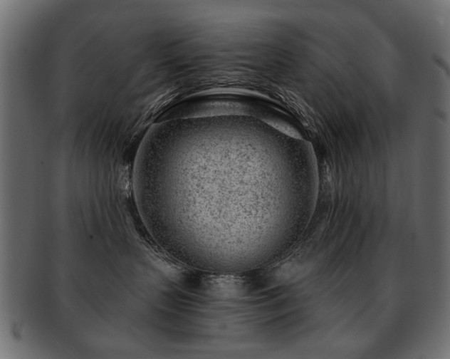 X0000093210383200709261601