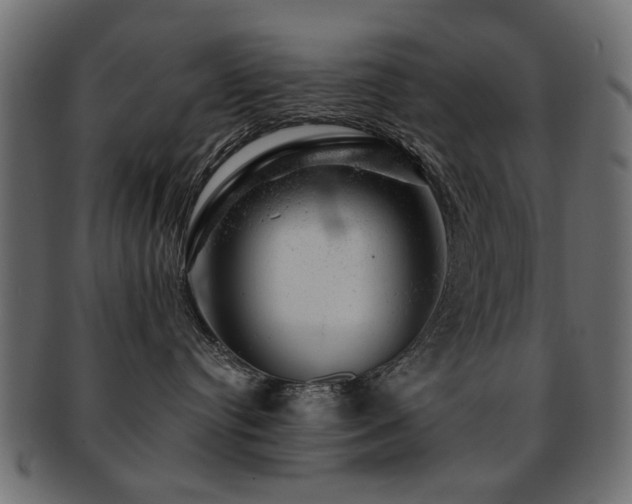 X0000093210384200709261601