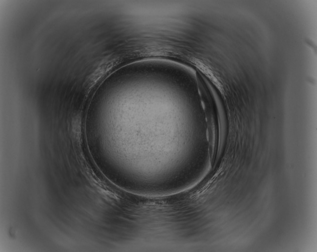 X0000093210386200709261601