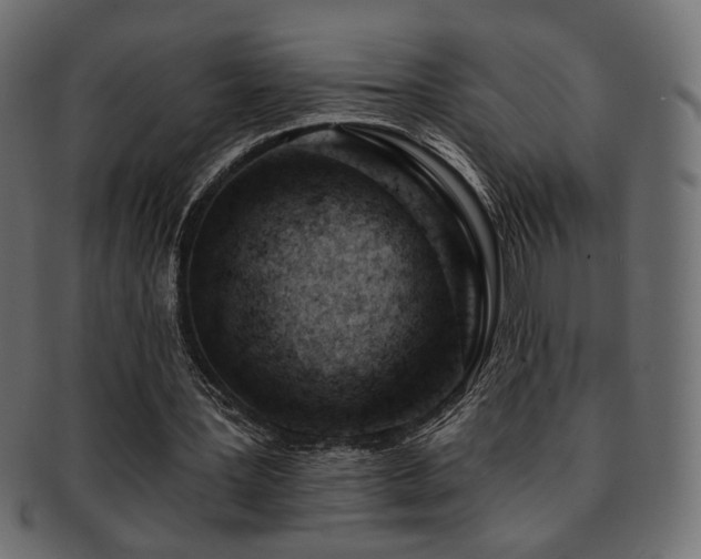 X0000093210387200709261601