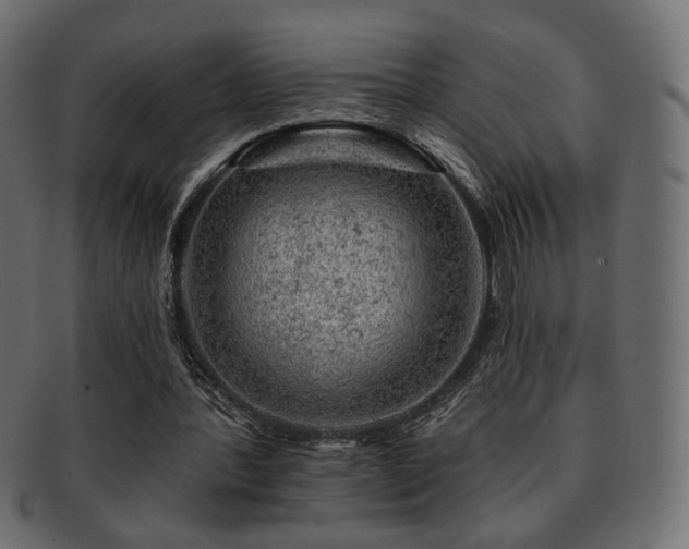 X0000093210388200709261601
