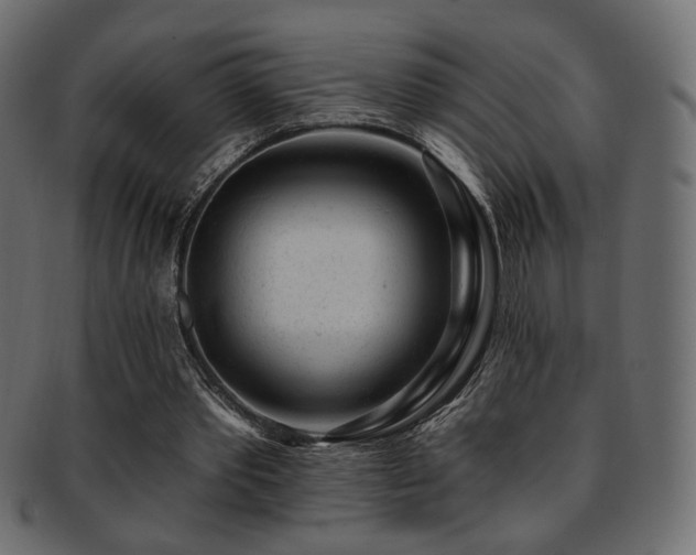 X0000093210389200709261601