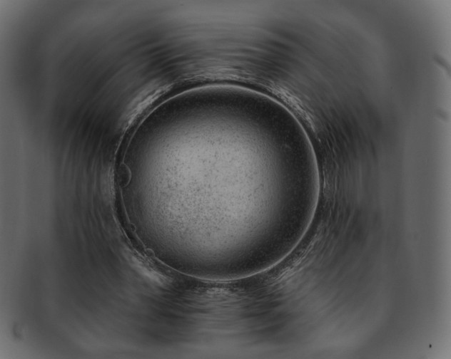 X0000093210390200709261600