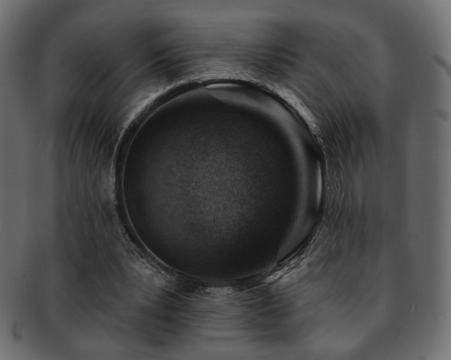 X0000093210391200709261600