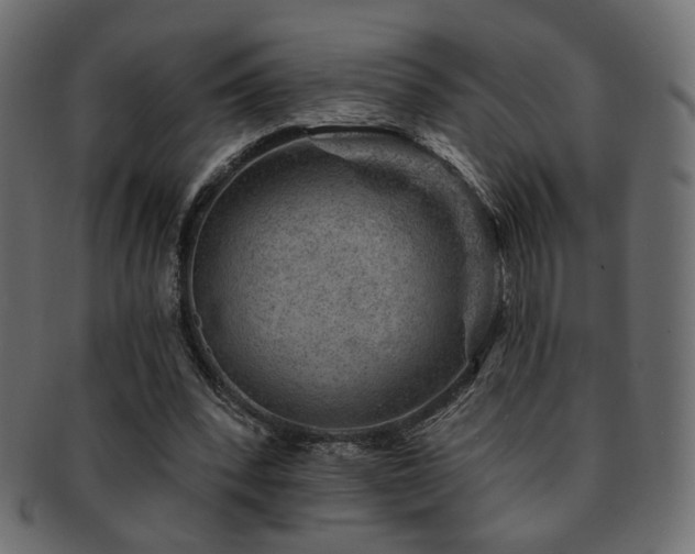 X0000093210392200709261600