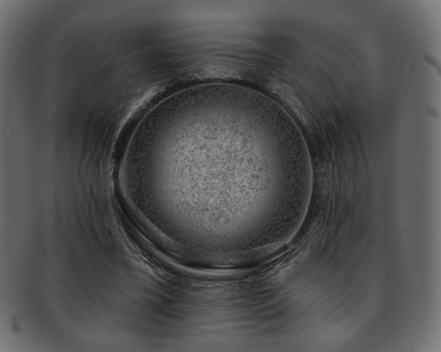 X0000093210395200709261600