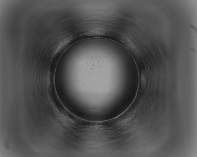 X0000093210396200709261600