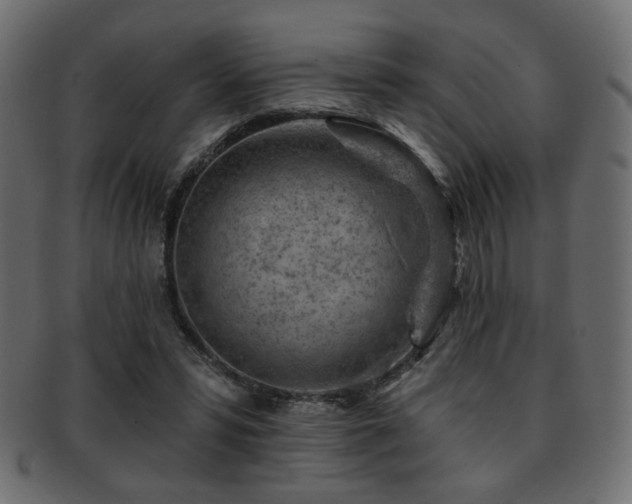 X0000093210399200709261600